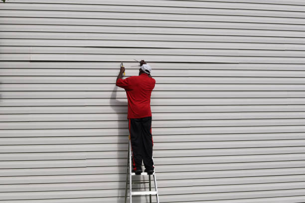Best Steel Siding Installation  in Albany, KY